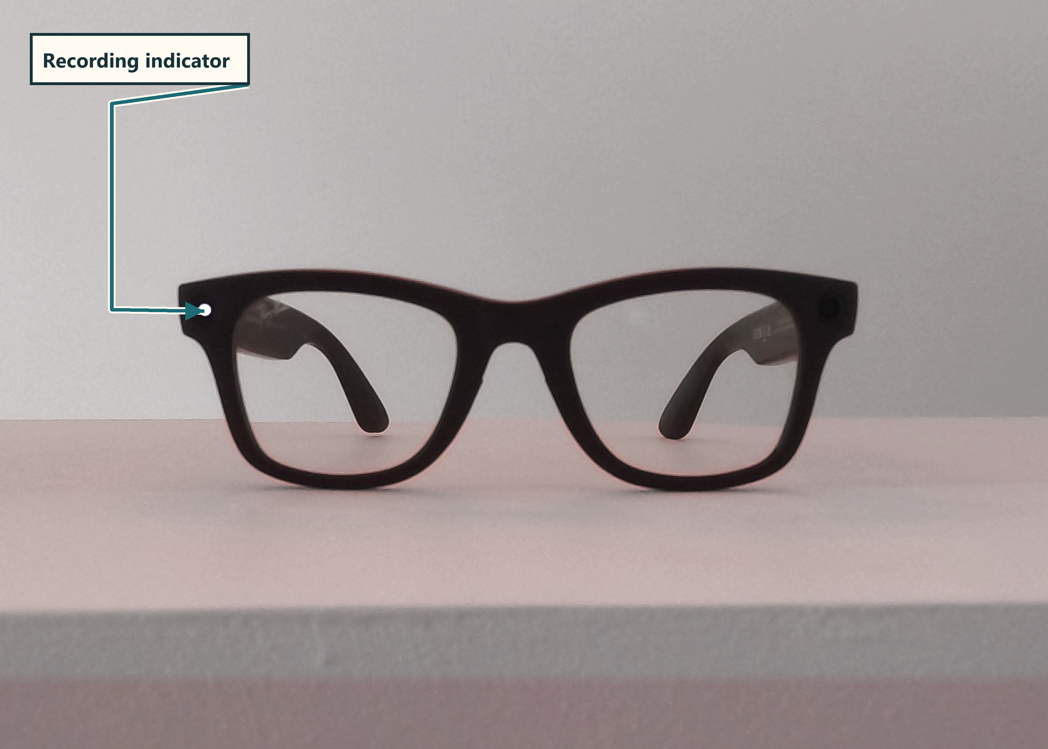 The owner's Meta Ray-Ban glasses with the illuminated recording indicator identified.